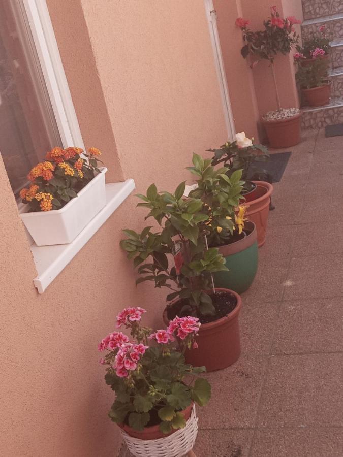 Erna Apartman Zalakaros Dış mekan fotoğraf